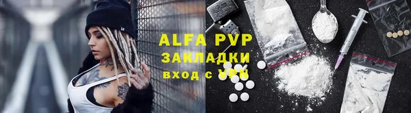 стафф Алексин