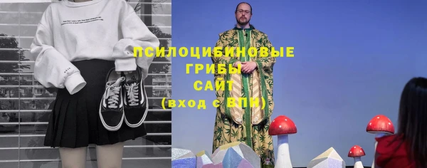 стафф Алексин