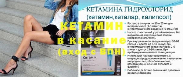 сатива Абинск