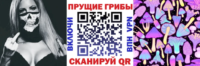 Псилоцибиновые грибы Psilocybe  omg зеркало  Абакан 